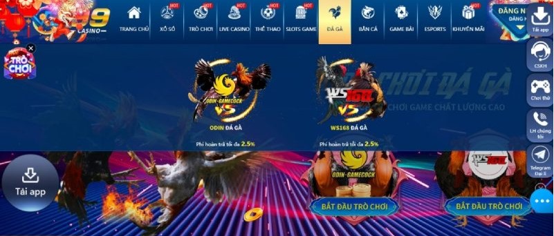 Cách để mà tham gia game đá gà Vz99