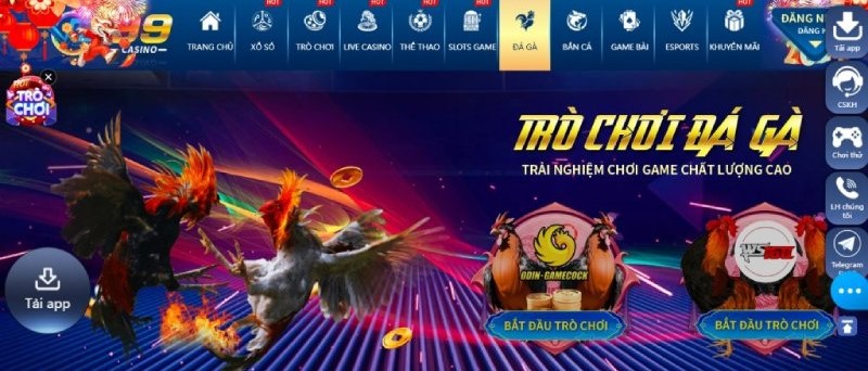 Giới thiệu các bạn game Đá Gà Vz99 – Link vào game Vz99 mới nhất